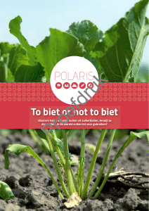 To biet or not to biet