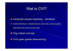 Wat is CVI?