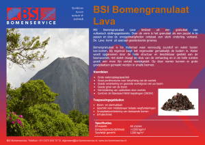 Productblad-BSI-Bomengranulaat-Lava
