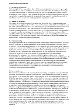 voortgezette assimilatie