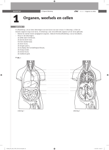 1 Organen, weefsels en cellen - SG Zuid