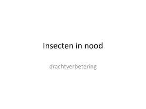 Insecten in nood - Brabantse Milieufederatie