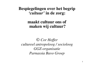 Bespiegelingen over het begrip `cultuur` in de zorg: maakt cultuur