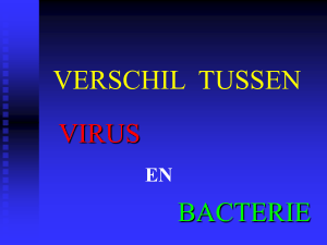Powerpoint 7.1 verschillen virus - bacterie