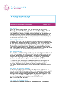 Neuropatische pijn - Nederlandse Vereniging voor Neurologie