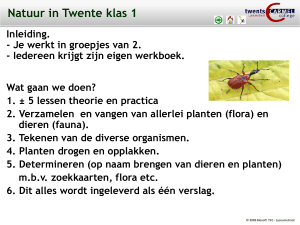 Practicum: Natuur in Twente klas 1