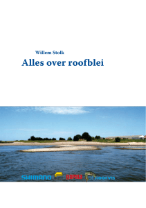 Alles over roofblei