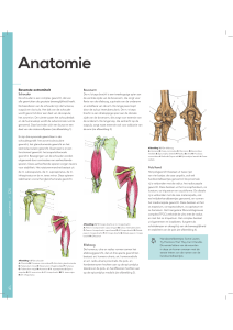 Anatomie - Compendium Geneeskunde