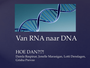 Van RNA naar DNA (presentatie)
