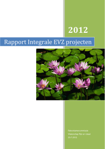 Rapport Integrale EVZ projecten