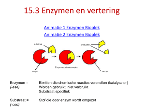 PowerPoint 11.3-11.5 Vertering van eiwitten