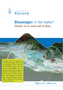 Blauwalgen in het water? - Hoogheemraadschap van Rijnland