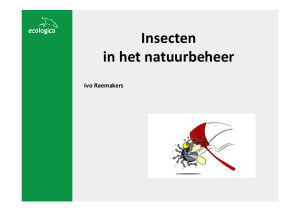 Insecten in het natuurbeheer
