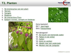 T2. Planten De levenscyclus van een plant Wortels