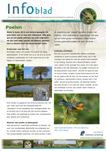 Poelen - Brabants Landschap
