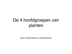 De 4 hoofdgroepen van planten