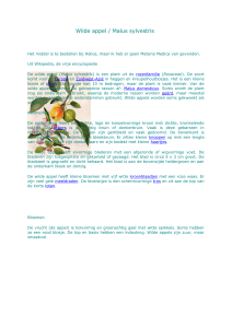 Wilde appel / Malus sylvestris - Homeopathie Praktijk Esther van Dam