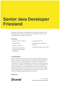 Senior Java Developer Friesland