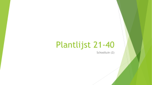 Plantlijst 21-40