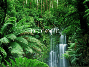 ecologie - Kiwi Biologie