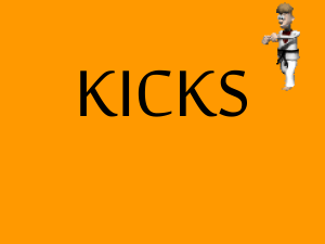 categorisatie van kicks