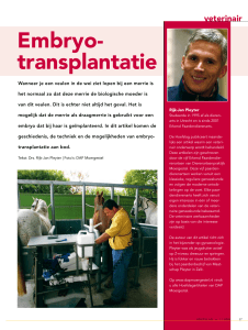Embryo- transplantatie - Dierenartsenpraktijk Moergestel
