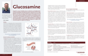 Glucosamine - Natura Foundation