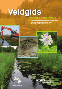 Veldgids Beheer en onderhoud - Waterschap Vallei en Veluwe