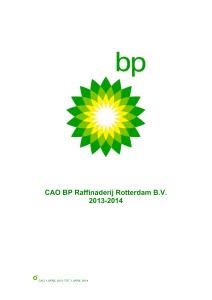 HP 2013 BP RR concept cao tekst 2013 2014 wijzigingen