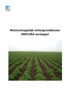 Wetenschappelijk achtergronddossier AMFLORA-aardappel