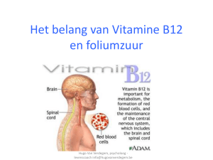 Het belang van Vitamine B12 en foliumzuur