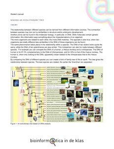 MAKING AN EVOLUTIONARY TREE