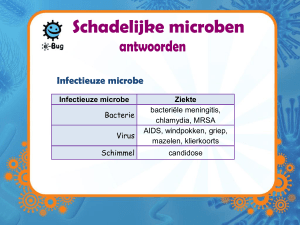 Antwoordenblad (MS PowerPoint) - e-Bug