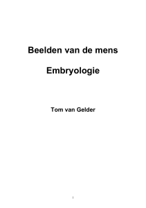 Beelden van de mens Embryologie