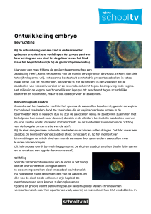 Ontwikkeling embryo