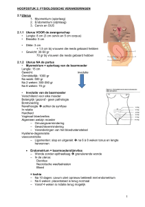 HOOFDSTUK 2: FYSIOLOGISCHE VERANDERINGEN Uterus