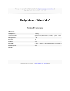 Hedychium x `Kin-Kaku` : Plantencentrum Exotica : http://www