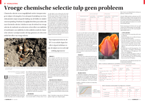 Vroege chemische selectie tulp geen probleem