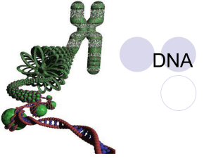 DNA - Biologiepagina