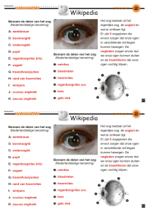 2 2 Wikipedia Wikipedia