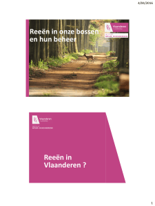 Reeën in onze bossen en hun beheer Reeën in Vlaanderen ?