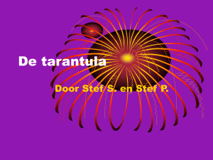 De tarantula