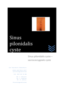 Sinus pilonidalis cyste - Jan Yperman Ziekenhuis
