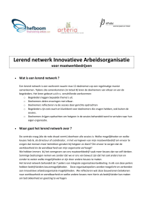 Lerend netwerk innovatieve arbeidsorganisatie Hefboom def