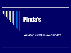 Pinda`s