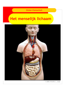 Menselijk lichaamboek.pub - Lesmateriaal voor Hoogbegaafden