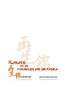 Karate en Formules uit de Fysica