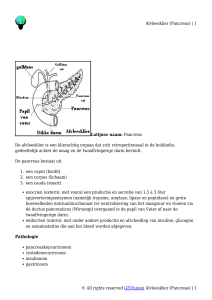 Alvleesklier (Pancreas)