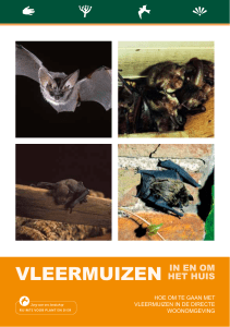 vleermuizen in en om - Stichting Landschapsbeheer Gelderland