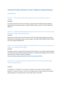 transcritptome dynamics in early zebrafish embryogenesis